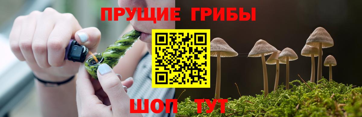 Галлюциногенные грибы Psilocybe Кириши